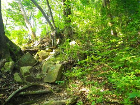尾根道の登りはちょっとした岩場があったりする