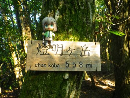 燈明ヶ岳の山頂プレートと雪村あおいちゃんを撮影しておいた