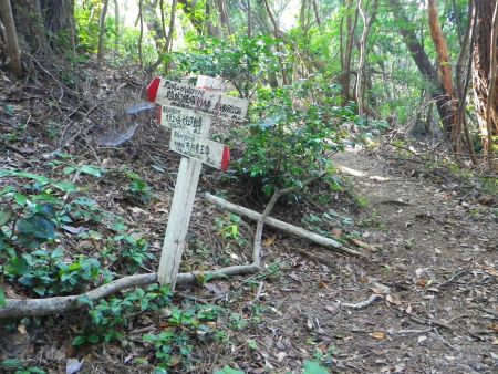 分岐に戻って、今度は大天上ヶ岳のほうへ向かっていく