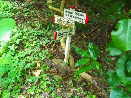 草の中に道標があった。このまま大天上ヶ岳のほうへ向かう
