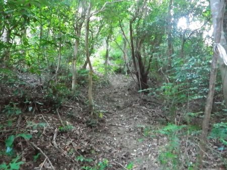 大天上ヶ岳への登りのはじまり。この先はちょっと滑りやすい登りになる