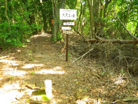大天上ヶ岳の山頂(612m)に到着。立派な看板が立っていたのでびっくりした