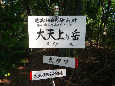 大天上ヶ岳の看板と雪村あおいちゃんを撮影しておいた
