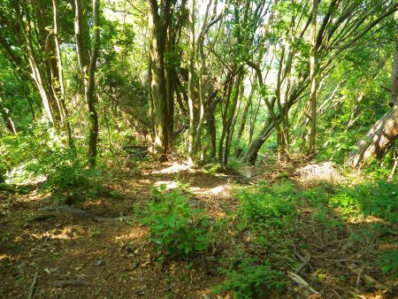 大天上ヶ岳でちょっと休憩したのでさっさと下山することにした