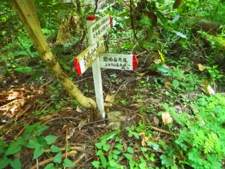 大天上ヶ岳の分岐まで下ってきた。ここから燈明ヶ岳参道のほうへ行き、最初の分岐に合流する