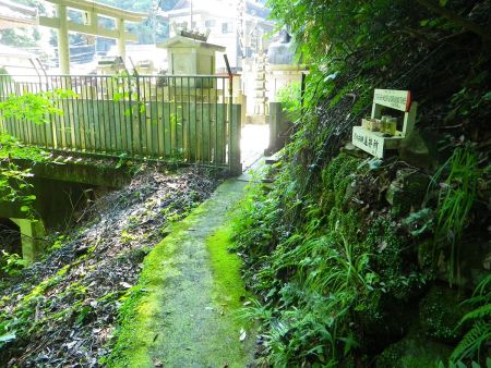 入山口まで下ってきて犬鳴不動尊の境内に戻ってきた