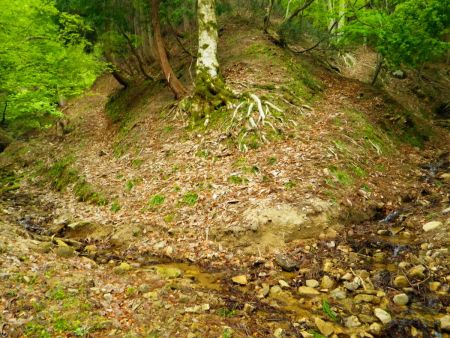ここで分岐だけど方角を確認すると左が正解