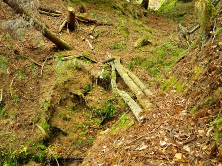 この木で作られた変な橋はとてもじゃないけど渡れないので下におりて登ることにした