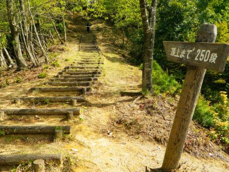 やっと頂上まで２５０段の階段になった。もう心臓がバクバクして休み休み階段を登っていった