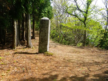 この石碑のようなところまでくると頂上までもう少し。ここで一旦、なだらかな道になる