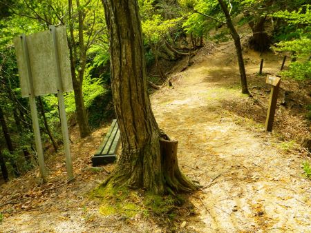 階段の下りは早かった。時間的には三分の一くらいでコルのところまで下ってこれた