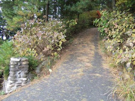 わざわざ三角点の近くまで案内してもらえる