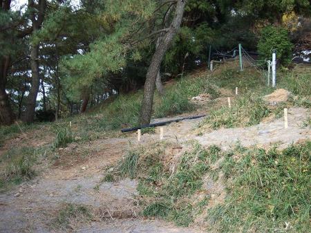 この上のピークに三角点があるようだ