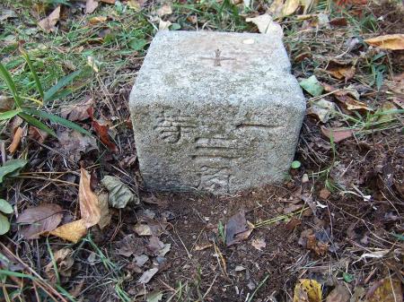 しかも一等三角点らしい