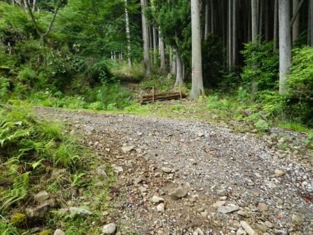 ここで分岐のようになっているけど、直進しても行けそうな感じだけど正規ルートは道なりに登っていく