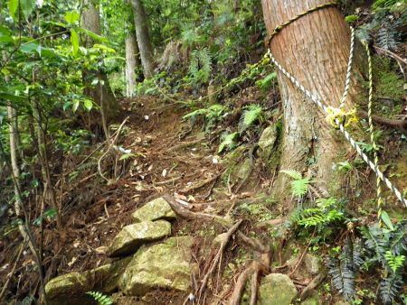 ここではじめてロープ場があったけど、ロープなんかなくても登れるし、逆にこのロープが邪魔になった