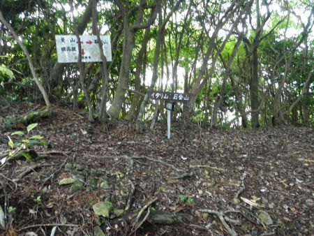 稜線に到着した。ここで左に行って天狗岩に立ち寄ろうかと思ったけど、天狗岩は反対側から歩いてきたほうが面白いようなので今回はパスした