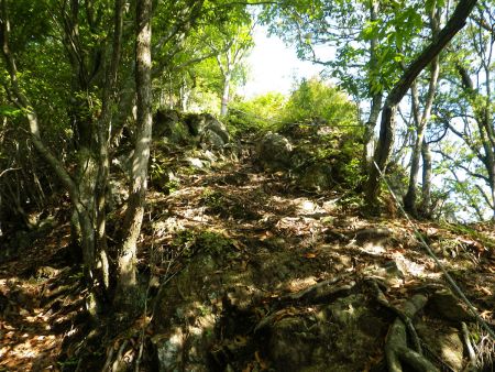 今度こそは明るくなってるので石金山の山頂への登りに違いない。そう思うとさっさと登ることにした