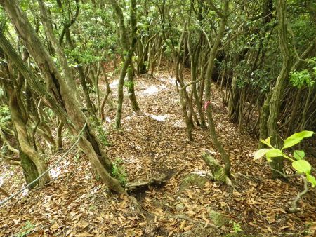 日陰で休憩してさっさと下山することにした