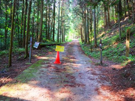 春日橋から少し上の一般車両通行禁止のこの林道からスタート