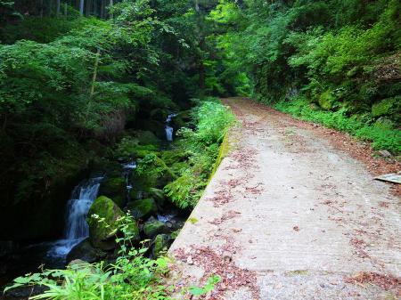沢沿いの林道をひたすら歩いていくが長い