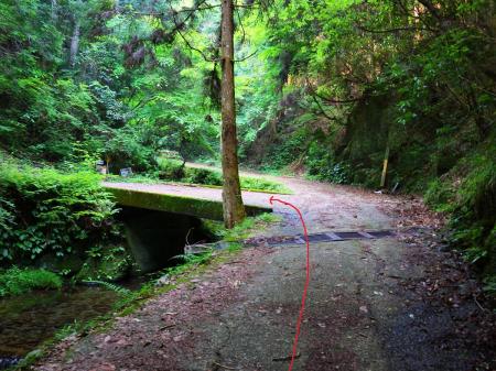 ここで左の橋を渡る。林道を直進すると違うところに行ってしまうので注意
