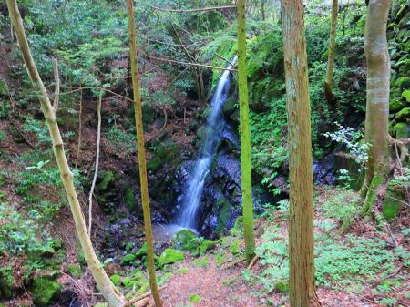 この滝は手前まで道があったけど何か名前がついているんだろうか？