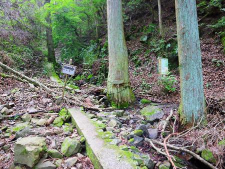 登山道は案内板があるのでわかりやすいが階段とか整備もされているのでわかりやすいと思う