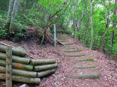分岐っぽいところもあるけど親切に案内してくれている。整備された階段のほうなのですぐわかるけどね