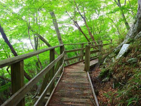 この木道のところまで来るとあともう少しで合流地点で山頂直下となる