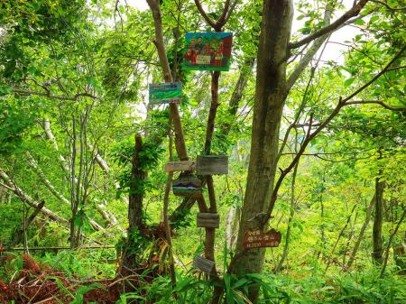 山頂の木にはたくさんのプレートがついてたけど、こういうプレートって勝手につけていいのかな！？