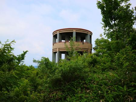 和泉葛城山の展望台。前に比べて樹林が育った気がする