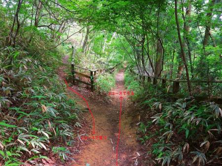 山頂直下のAコースとBコースの合流地点でBコースで下っていくことにする