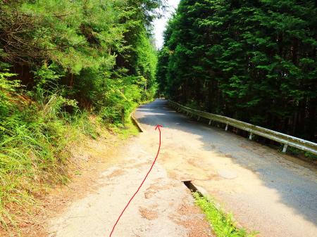 一旦道路に出る。しばらくは道路を歩いていて下っていく
