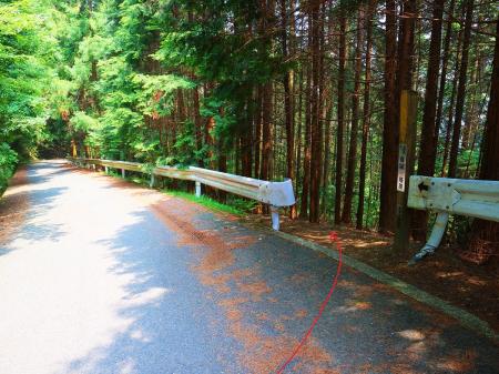 ここで右の登山道のほうを下っていく。道路を下っていってもいけるけど登山道のほうが距離が短いかも