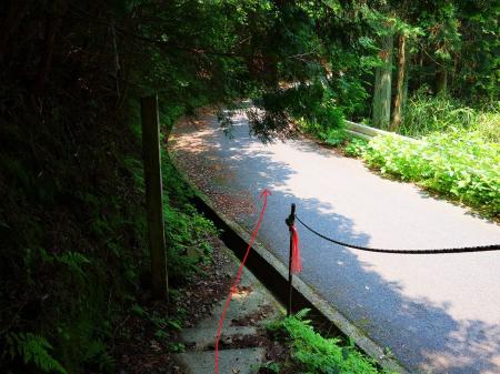 再び道路にでるけど、道路を少しあがったところからすぐ登山道に入る