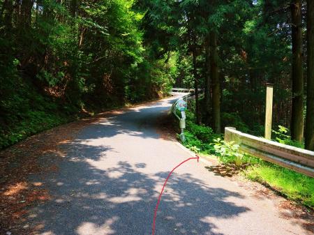道路にでてすぐ右側に登山道へ入って下っていく。ここから下までは道路に出ることはない