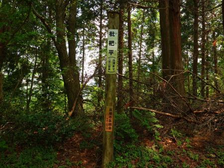このなんかあった場所は枇杷平というらしい。もう山頂から2.2kmも下ってきたのか