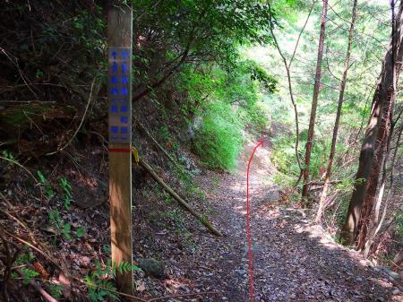 ここで分岐。蕎原（そぶら）・貝塚のほうなので直進する。岸和田のほうに下ると違う場所に行ってしまうので注意