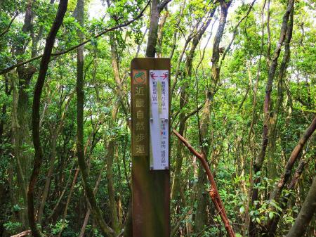 蕎原集落までまだ1.2kmもあるのかと思いながら下っていく