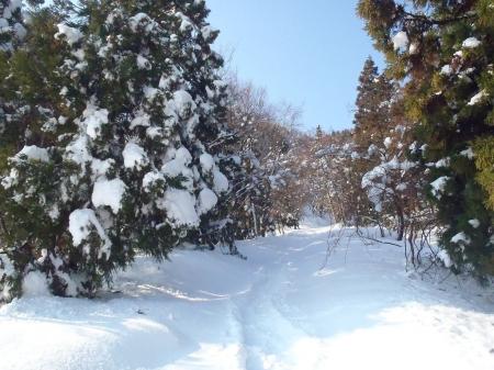 トレースがある