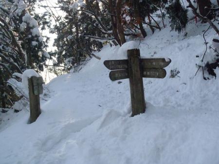 100mほど歩いて標高507m