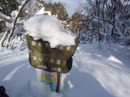 かなりの急登だったが、ここで楽になる