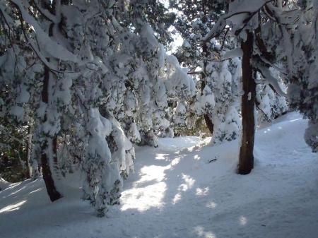 なかなかいい感じの道