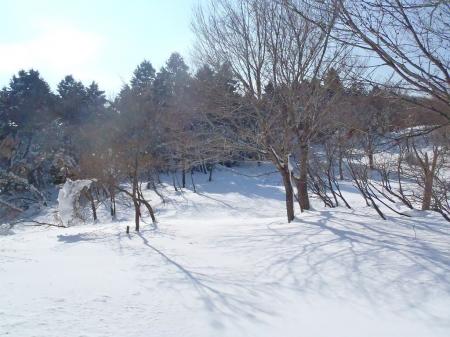 人の踏み跡のない雪は綺麗