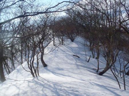 ここから尾根を歩く