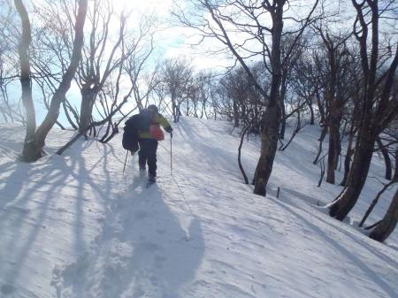 南側は雪庇があるので右側を歩く
