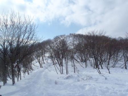 山頂が見えた！