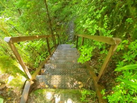 階段を下りていって入渓ポイントへ行く