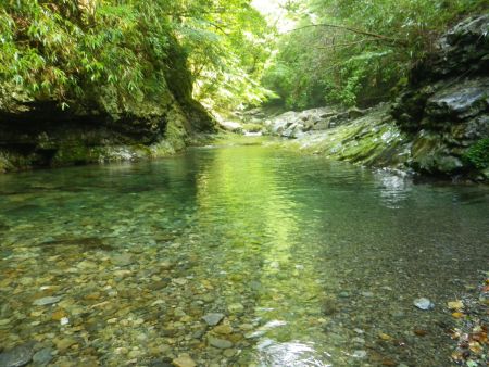神童子谷もやはり綺麗な沢だ。とても美しい感じがした